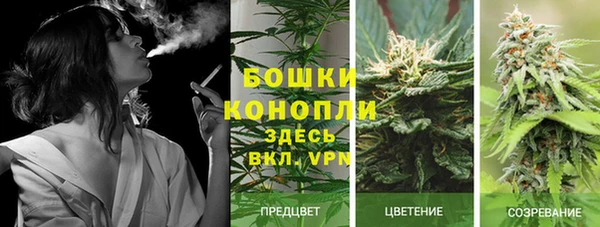 МДПВ Арсеньев